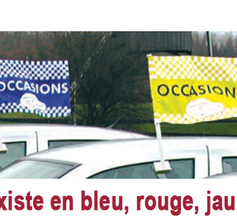 Mini DRAPEAUX