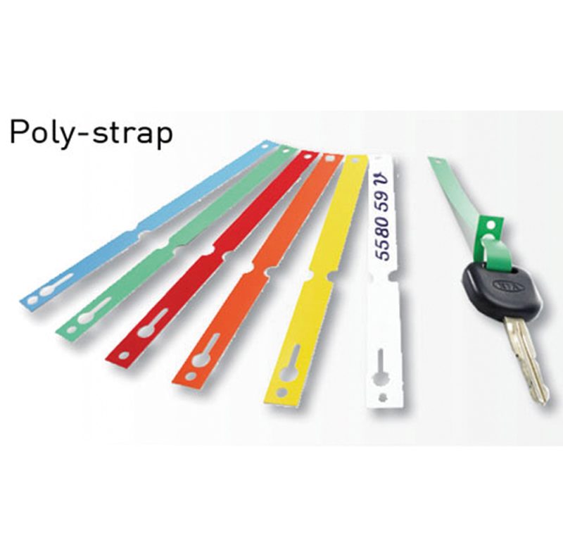 POLY STRAP 2018