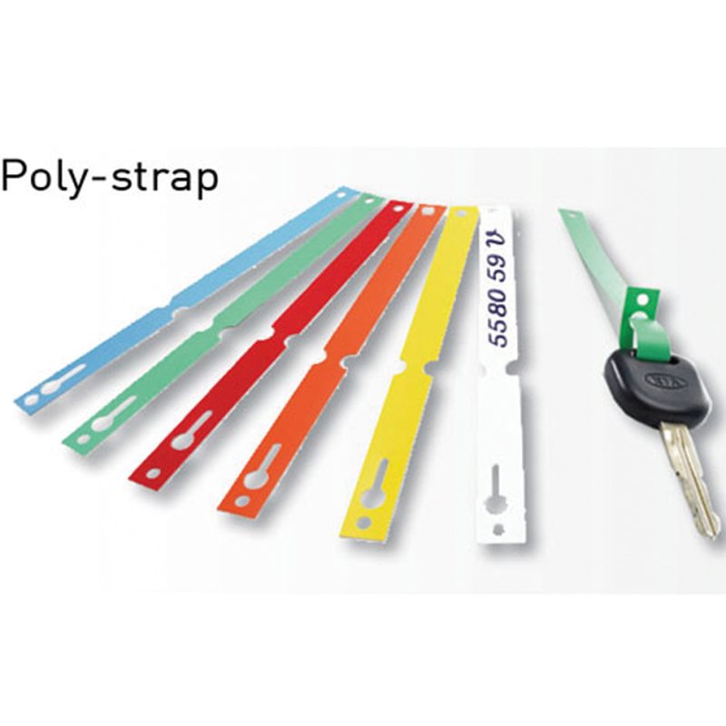 POLY STRAP 2018