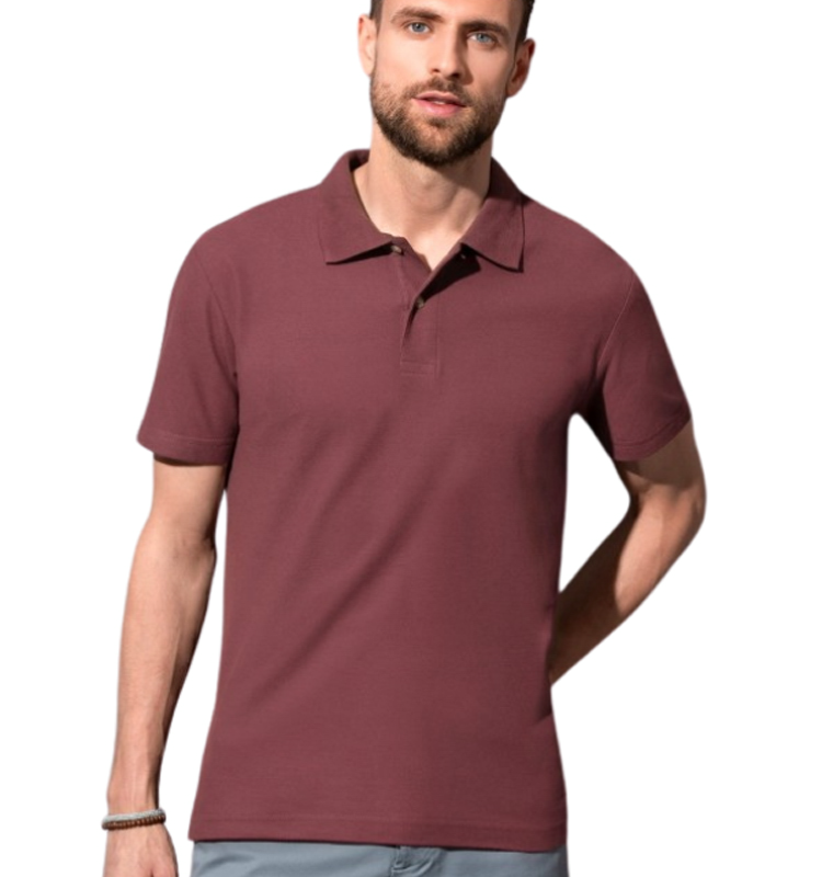 Polo1